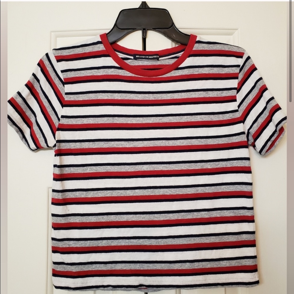 NWT Brandy Melville Helen Crop Top
